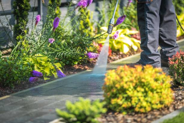 Trusted Catlettsburg, KY Pressure Washing Services Experts